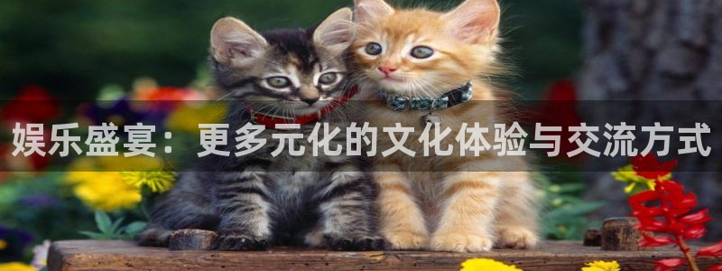 upload/20250701114914.jpg