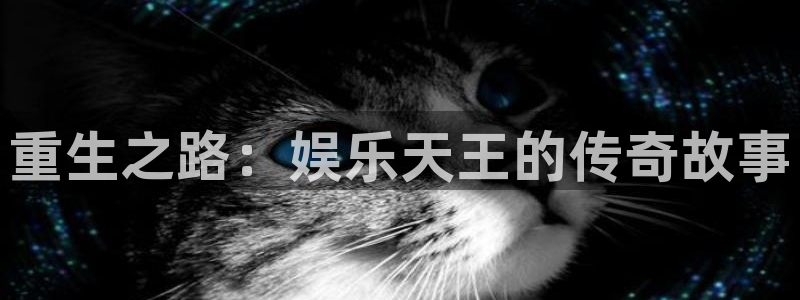太阳成集团tyc9728：重生之路：娱乐天王的传奇故事
